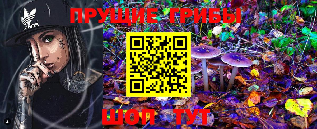 Псилоцибиновые грибы MAGIC MUSHROOMS Донецк